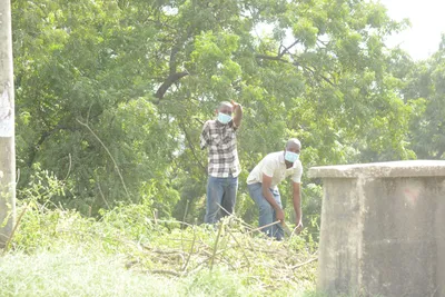 DSC_7562 (Large).JPG